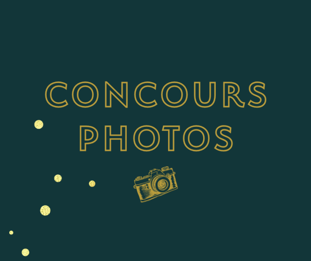 Posts Facebook et site (1)