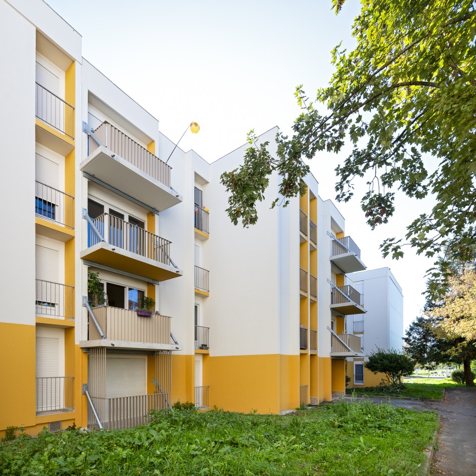 2025 013 Logelia LgtCrouin 1116